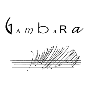 GAMBARA_vignette_700x700